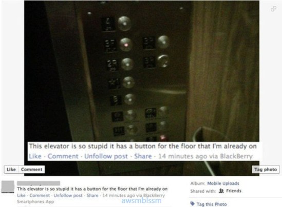 pics_day_awsmblssm00489