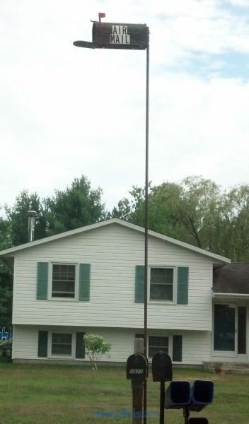 pics_day_awsmblssm00502