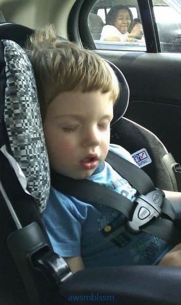 pics_day_awsmblssm00524