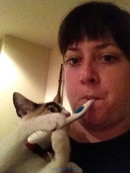 pics_day_awsmblssm00529