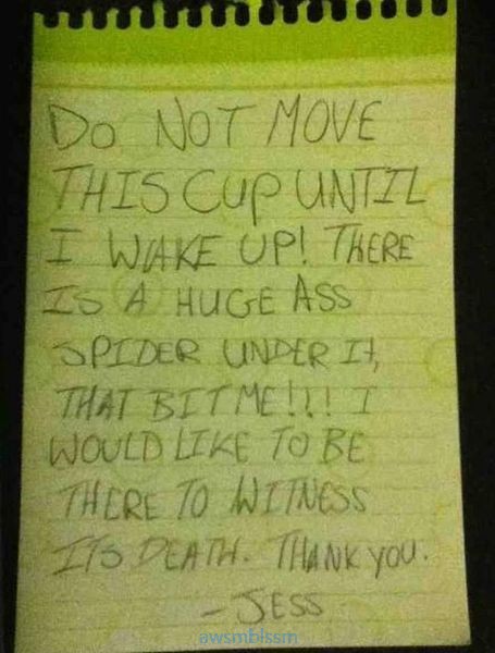 pics_day_awsmblssm00542