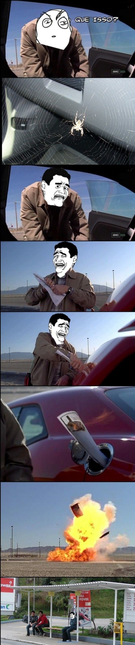 pics_day_awsmblssm00550