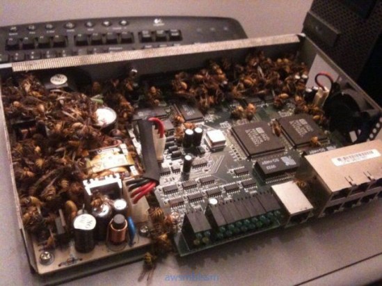 pics_day_awsmblssm00552