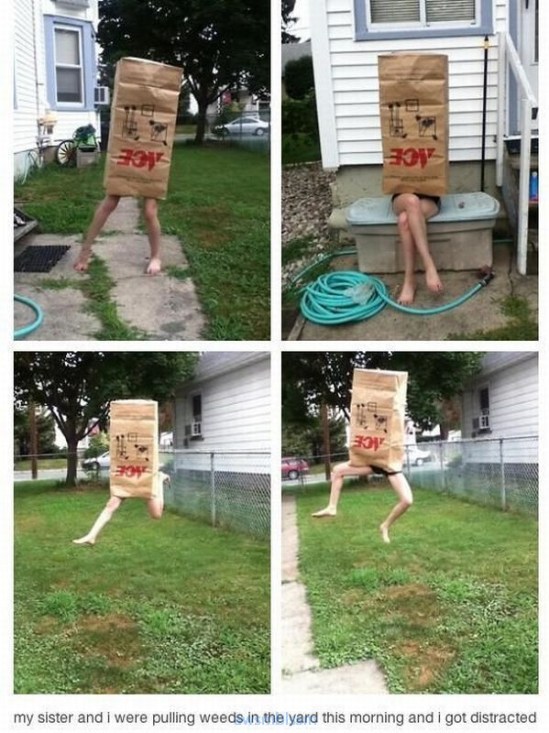 pics_day_awsmblssm00610