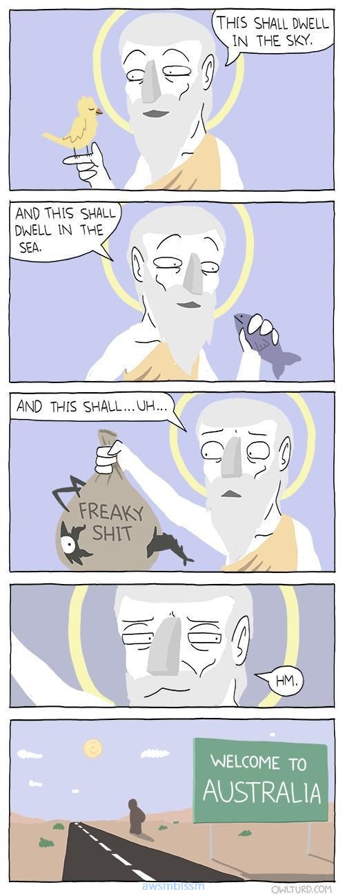 pics_day_awsmblssm00639