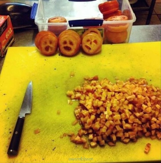 PUBLISHED by catsmob.com