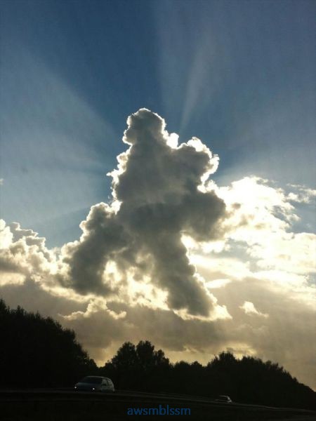 pics_day_awsmblssm00625