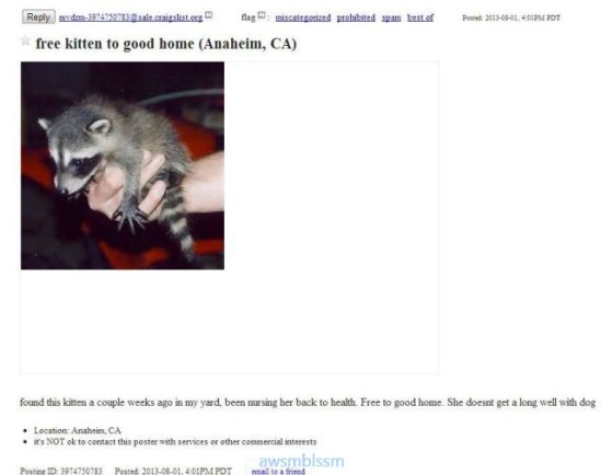 pics_day_awsmblssm00663