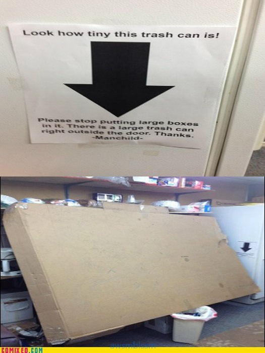 pics_day_awsmblssm00695