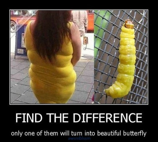 pics_day_awsmblssm00745