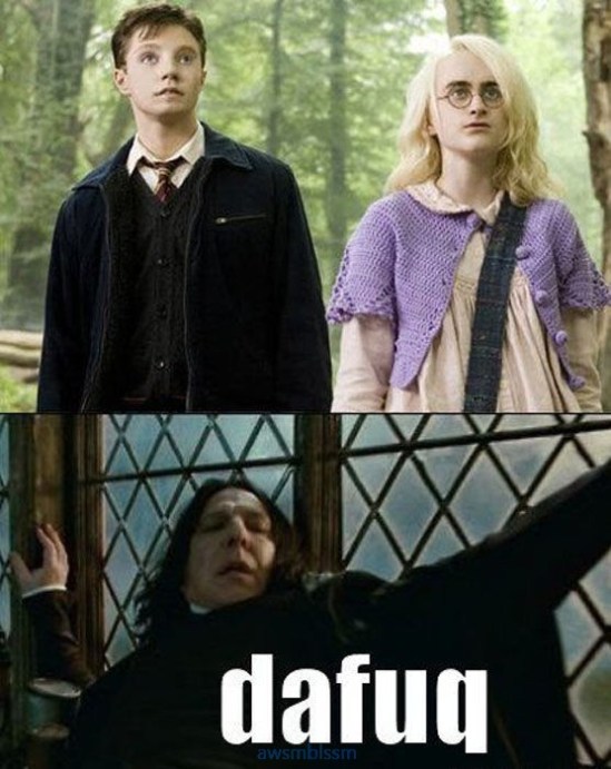 pics_day_awsmblssm00747