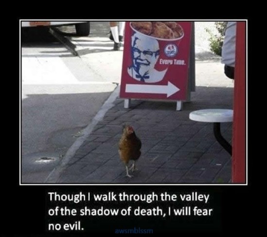 pics_day_awsmblssm00752