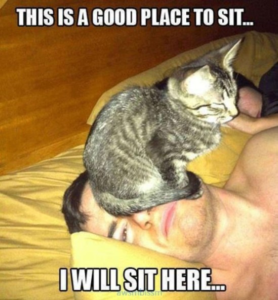 pics_day_awsmblssm00754