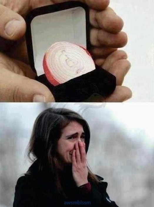 pics_day_awsmblssm00791