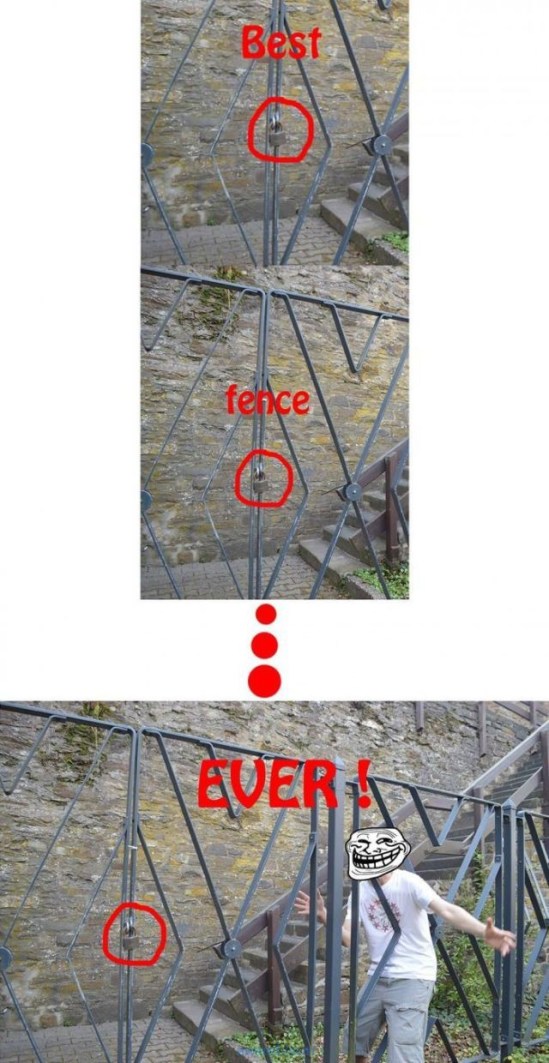 pics_day_awsmblssm00805