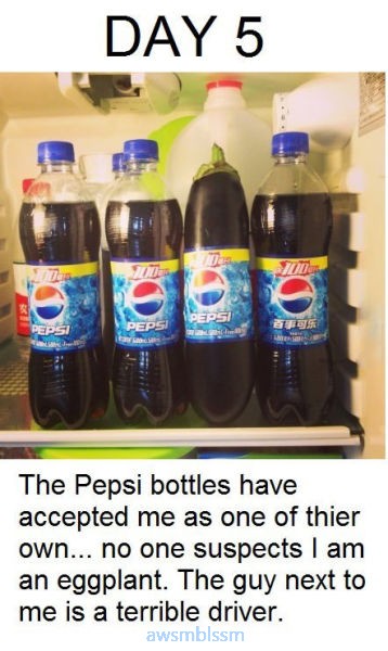 pics_day_awsmblssm00907