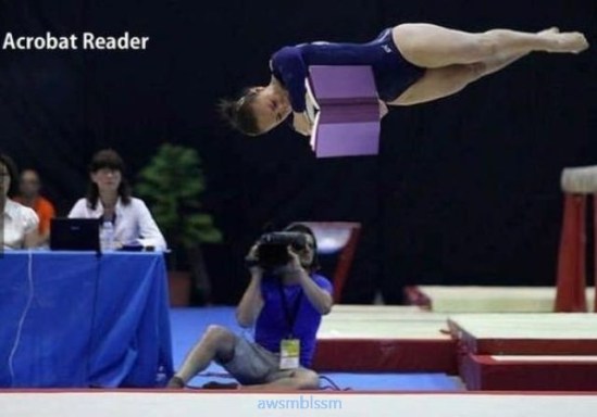 pics_day_awsmblssm00918