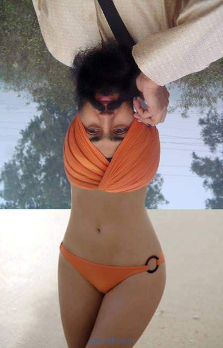 pics_day_awsmblssm00925