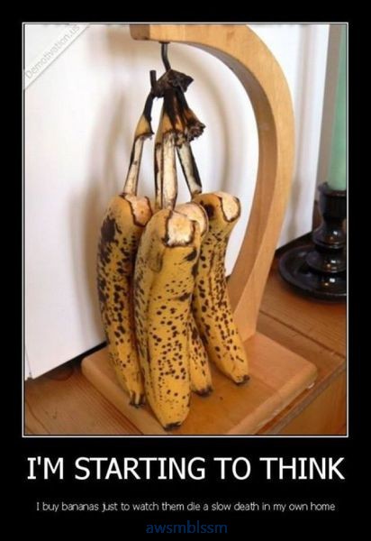 pics_day_awsmblssm00938