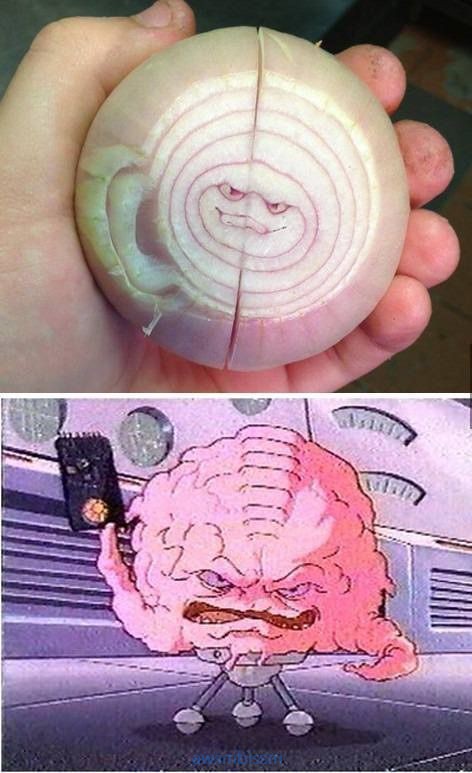 pics_day_awsmblssm00957