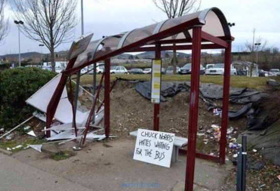 pics_day_awsmblssm00963