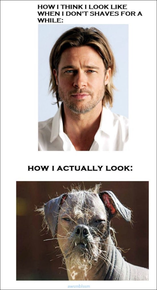 pics_day_awsmblssm00984