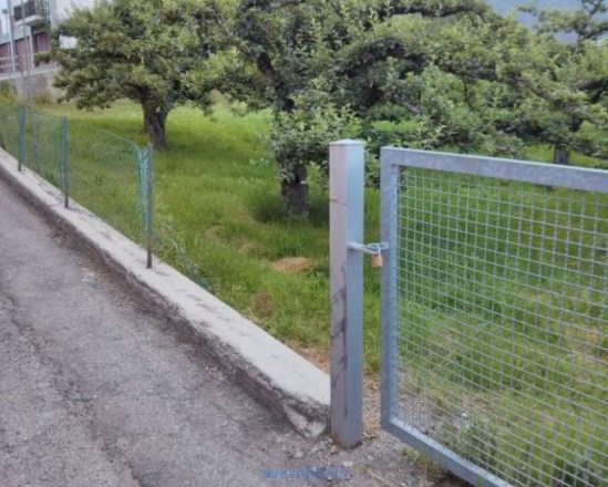 pics_day_awsmblssm00993