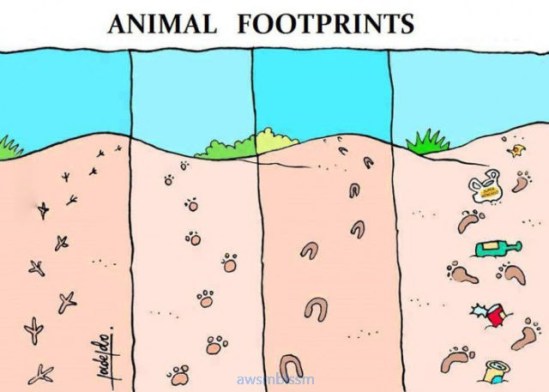 pics_day_awsmblssm01032