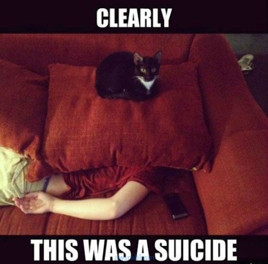 pics_day_awsmblssm01033