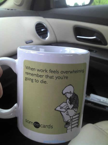 pics_day_awsmblssm01083