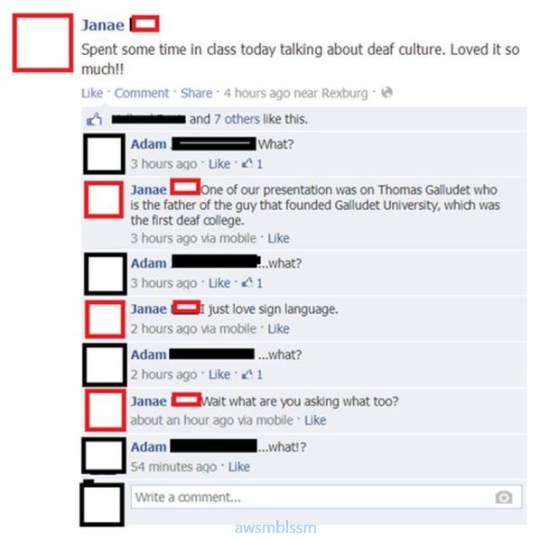 pics_day_awsmblssm01136