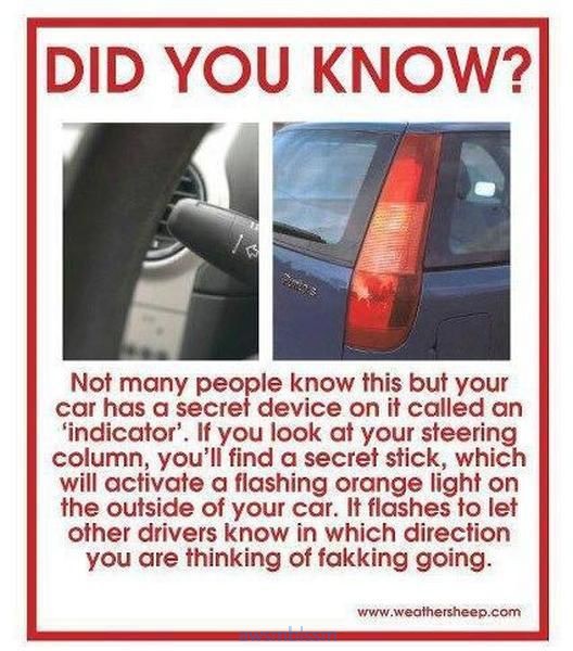 pics_day_awsmblssm01195