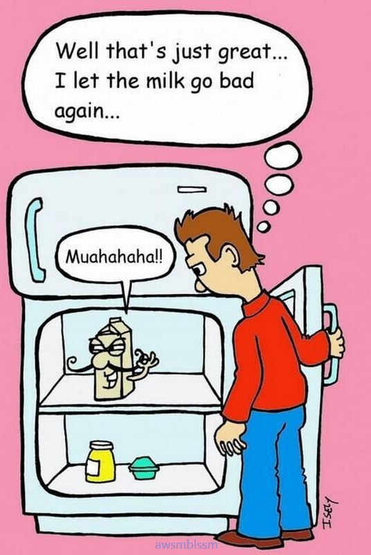 pics_day_awsmblssm01205