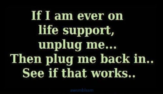 pics_day_awsmblssm01258