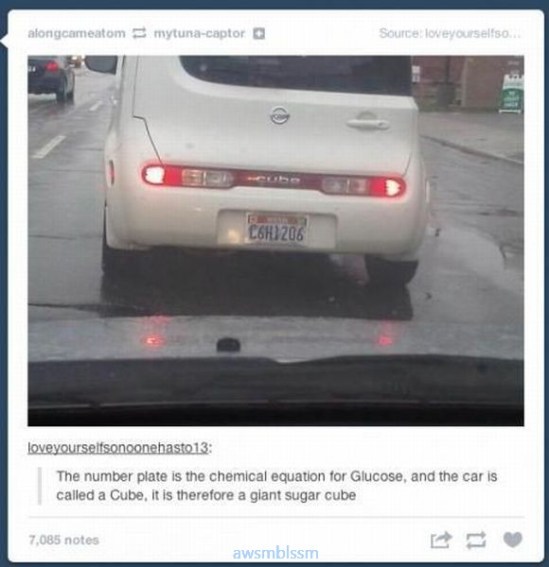 pics_day_awsmblssm01259