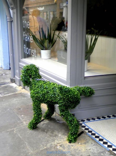 PUBLISHED by catsmob.com