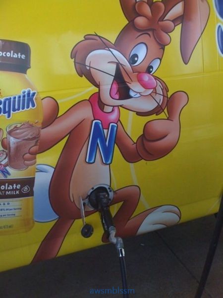 pics_day_awsmblssm01326