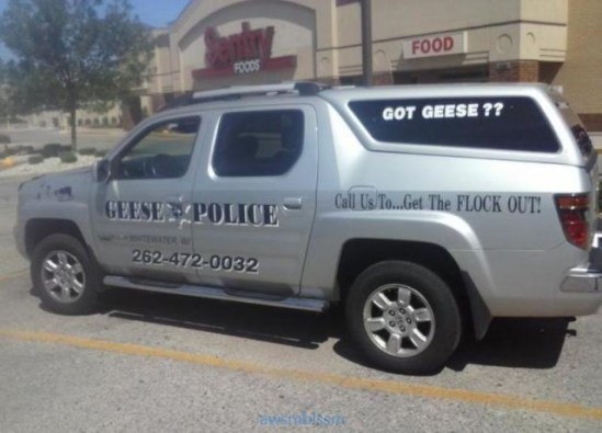 pics_day_awsmblssm01370