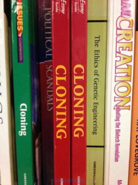 pics_day_awsmblssm01352