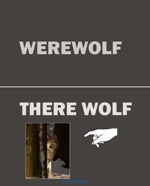 pics_day_awsmblssm01383