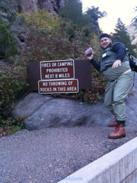 pics_day_awsmblssm01479