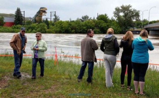 pics_day_awsmblssm01528