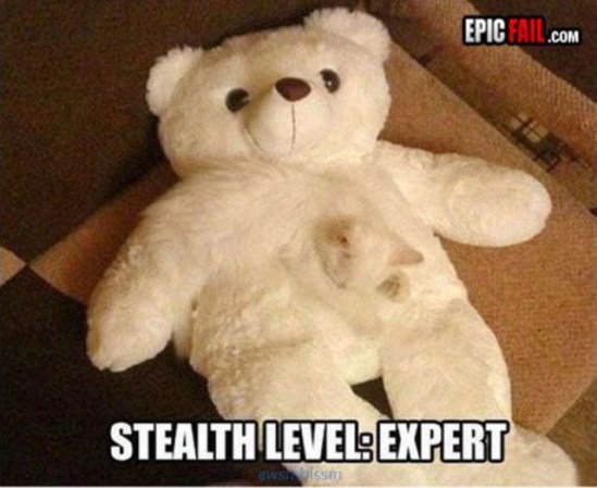 pics_day_awsmblssm01531