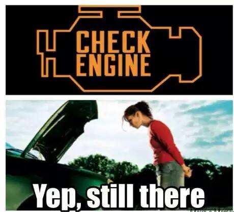 10003921_10152272487473930_372723123_n