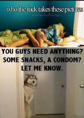 1016249_454582144642788_1959701010_n