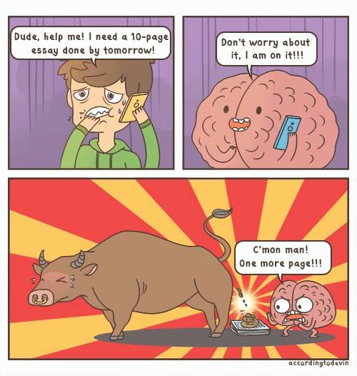 1185792_10152278317868930_279413295_n