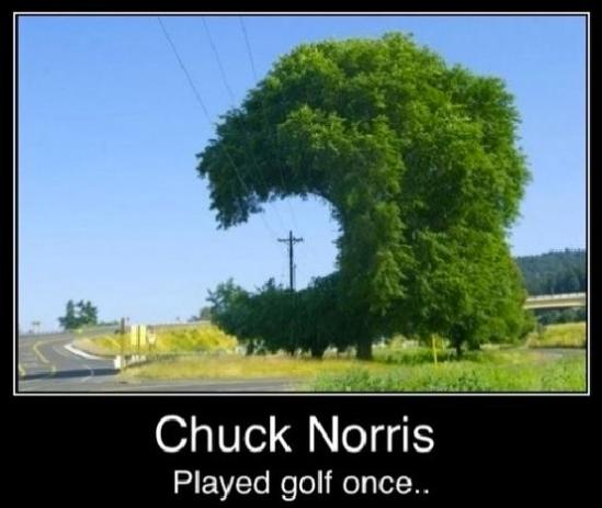 548169_403703376361425_1920864384_n