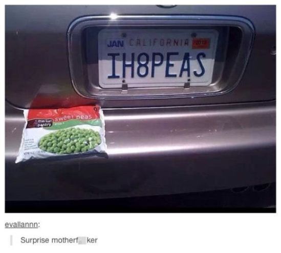 amusing_captions_and_pictures_to_entertain_640_10