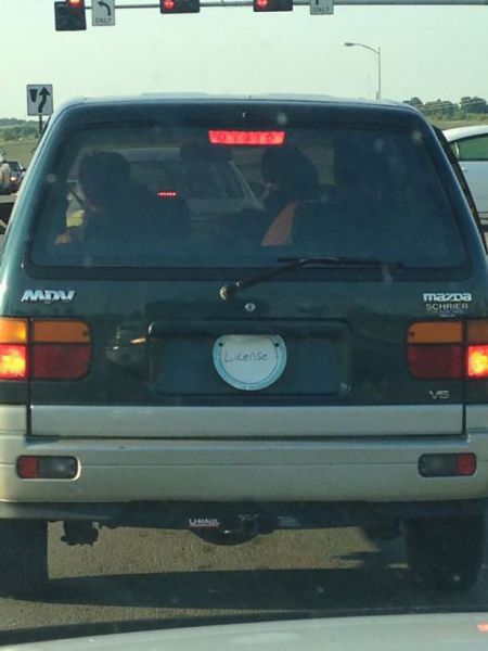 daily_gifdump_605_640_70