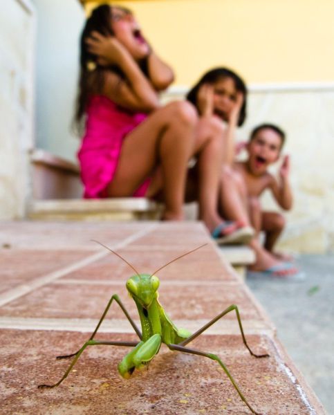 daily_picdump_1302_640_69